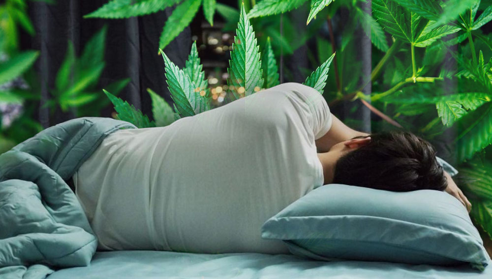 La-Marijuana-aiuta-il-sonno